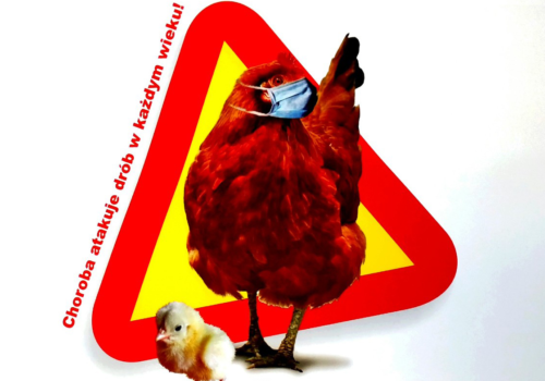 Zasady, których należy przestrzegać w celu ochrony gospodarstwa przed wirusem wysoce zjadliwej grypy ptaków (HPAI)