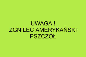 Rozporządzenie Wojewody Świętokrzyskiego w sprawie zwalczania zgnilca amerykańskiego pszczół