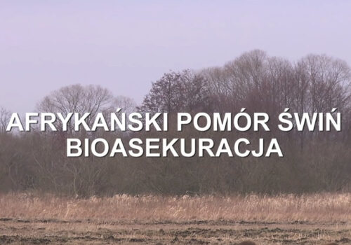 Film instruktażowy dot. zasad bioasekuracji