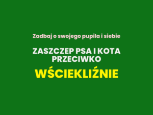 Zadbaj o swojego pupila i siebie. Zaszczep psa i kota przeciwko wściekliźnie