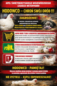 Apel Świętokrzyskiego Wojewódzkiego Lekarza Weterynarii do hodowców drobiu